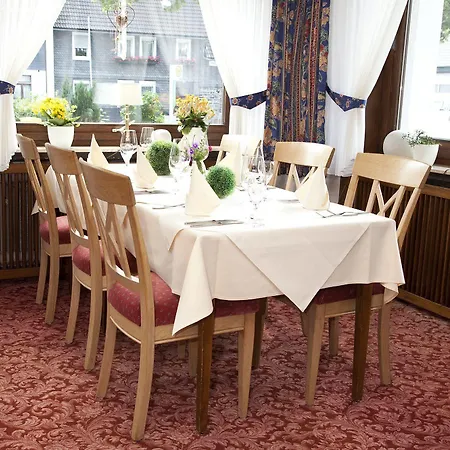 Hotel Bio-hotel Uplaender Hof Willingen (Upland)