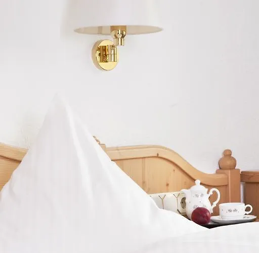 فندق Bio-hotel Uplaender Hof فيلنغن